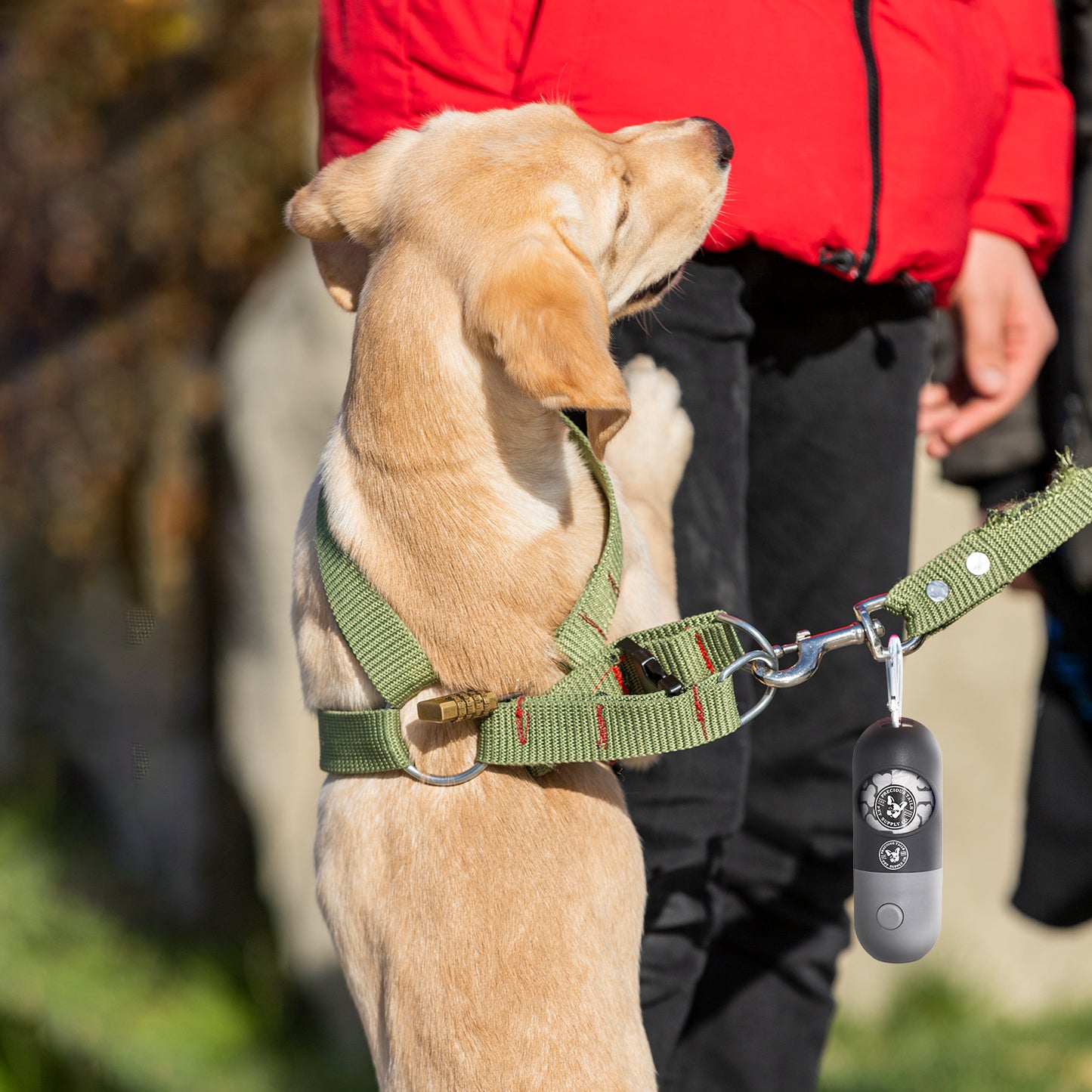 P.T. Supply Co. Flash N Bag LED-Lit Poop Bags, Convenient Dog Waste Bags with Integrated LED Light