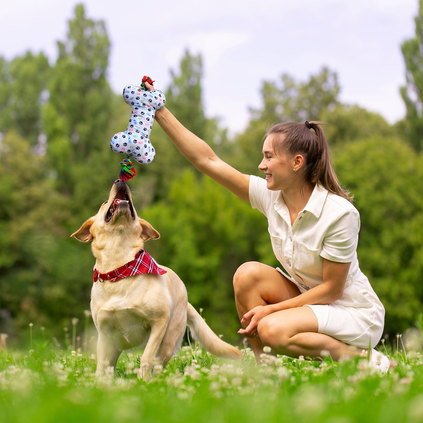 Rae Dunn X-Large Bone Rope Dog Toys with Squeakers, Featuring 'Play' and 'Chew All Over' Print