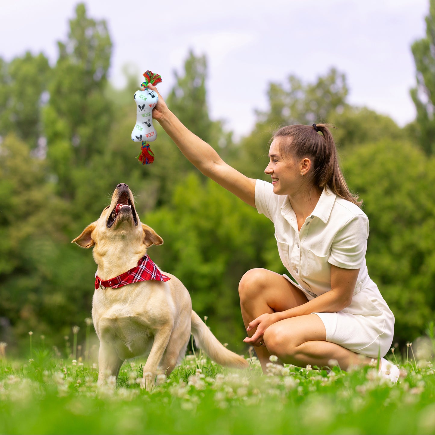 Rae Dunn 2-Pack Small Bone Rope Dog Toys with Squeakers, Featuring 'Woof' and 'Dogs All Over' Print